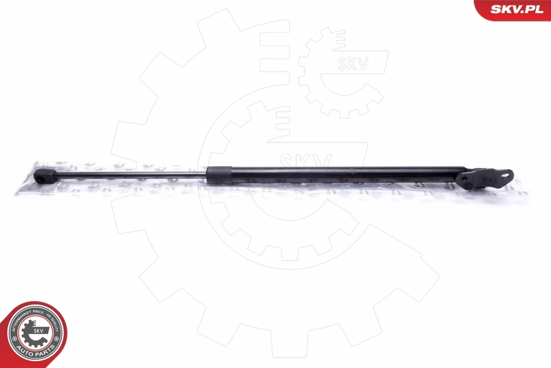Gas Spring, boot/cargo area